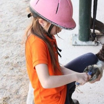 Domenica 30 marzo - Allenamento speciale Endurance Pony 
