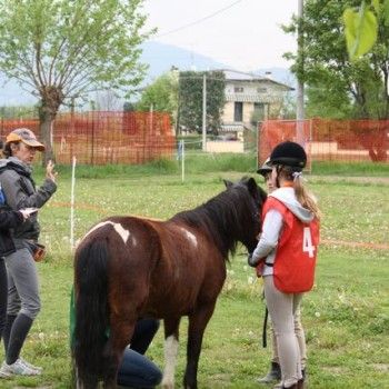 12 aprile - Endurance Pony Articolo V-Tappa di Campionato Veneto