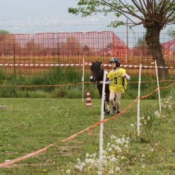 12 aprile - Endurance Pony Articolo V-Tappa di Campionato Veneto