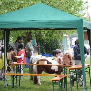 12 aprile - Endurance Pony Articolo V-Tappa di Campionato Veneto