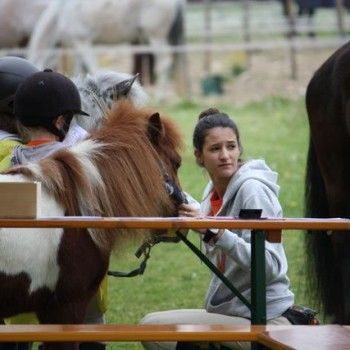 12 aprile - Endurance Pony Articolo V-Tappa di Campionato Veneto