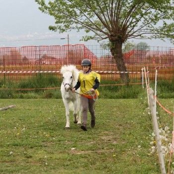 12 aprile - Endurance Pony Articolo V-Tappa di Campionato Veneto