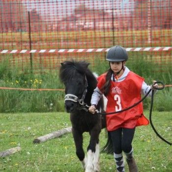12 aprile - Endurance Pony Articolo V-Tappa di Campionato Veneto