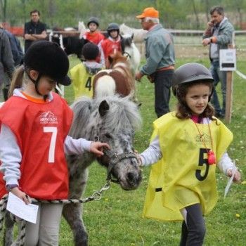 12 aprile - Endurance Pony Articolo V-Tappa di Campionato Veneto