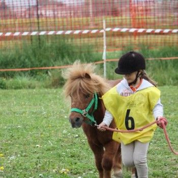12 aprile - Endurance Pony Articolo V-Tappa di Campionato Veneto