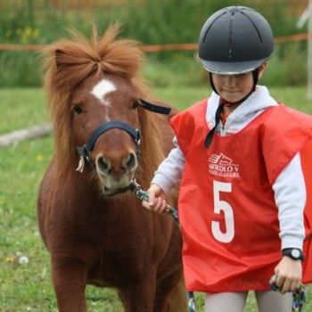 12 aprile - Endurance Pony Articolo V-Tappa di Campionato Veneto