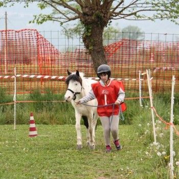 12 aprile - Endurance Pony Articolo V-Tappa di Campionato Veneto