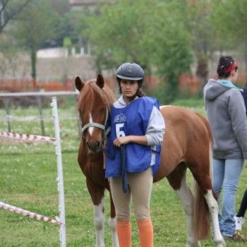 12 aprile - Endurance Pony Articolo V-Tappa di Campionato Veneto