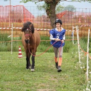 12 aprile - Endurance Pony Articolo V-Tappa di Campionato Veneto