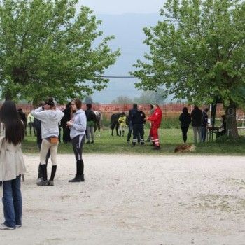 12 aprile - Endurance Pony Articolo V-Tappa di Campionato Veneto