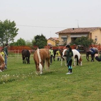 12 aprile - Endurance Pony Articolo V-Tappa di Campionato Veneto