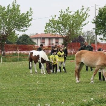 12 aprile - Endurance Pony Articolo V-Tappa di Campionato Veneto