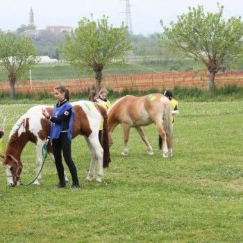 12 aprile - Endurance Pony Articolo V-Tappa di Campionato Veneto