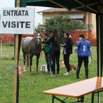 12 aprile - Endurance Pony Articolo V-Tappa di Campionato Veneto
