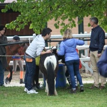12 aprile - Endurance Pony Articolo V-Tappa di Campionato Veneto