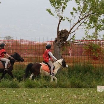 12 aprile - Endurance Pony Articolo V-Tappa di Campionato Veneto