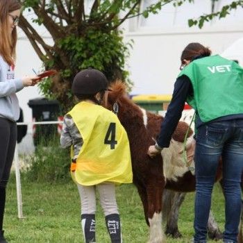12 aprile - Endurance Pony Articolo V-Tappa di Campionato Veneto