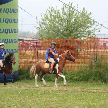 12 aprile - Endurance Pony Articolo V-Tappa di Campionato Veneto