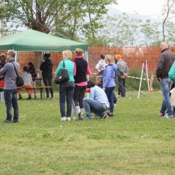 12 aprile - Endurance Pony Articolo V-Tappa di Campionato Veneto