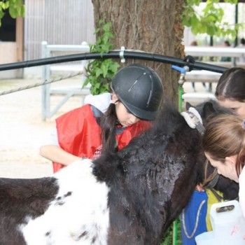 12 aprile - Endurance Pony Articolo V-Tappa di Campionato Veneto