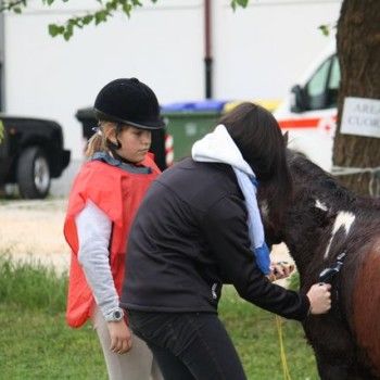 12 aprile - Endurance Pony Articolo V-Tappa di Campionato Veneto