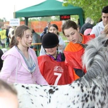 12 aprile - Endurance Pony Articolo V-Tappa di Campionato Veneto