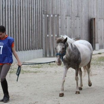 12 aprile - Endurance Pony Articolo V-Tappa di Campionato Veneto