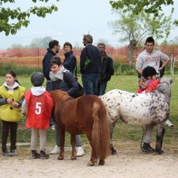 12 aprile - Endurance Pony Articolo V-Tappa di Campionato Veneto