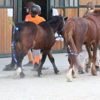 13 aprile - Gemellaggio con Pony Club San Lorenzo 