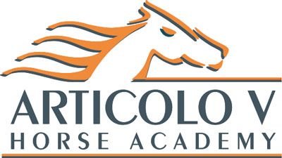 Articolo V Horse Academy