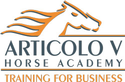 articolo v training for business